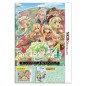 RUNE FACTORY 4 [GUIDEBOOK PACK] (pre-owned)