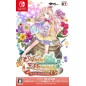 ATELIER MERURU: THE APPRENTICE OF ARLAND DX Switch