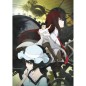 STEINS GATE ELITE [LIMITED EDITION] (pre-owned) Switch