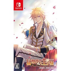 BEASTMASTER AND PRINCES: FLOWER & SNOW FOR NINTENDO SWITCH