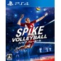 SPIKE VOLLEYBALL