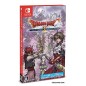 DRAGON QUEST X: THE MAIDEN OF THORNS AND THE GOD OF DESTRUCTION ONLINE (DOWNLOAD CODE) Switch