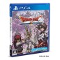 DRAGON QUEST X: THE MAIDEN OF THORNS AND THE GOD OF DESTRUCTION ONLINE PS4 DRAGON QUEST X: THE MAIDEN OF THORNS AND THE GOD OF DESTRUCTION ONLINE PS4