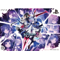 KANGOKUTOU MARY SKELTER 2 [LIMITED EDITION] (gebraucht)