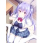 TONARI NI KANOJO NO IRU SHIAWASE ~SUMMER SURPRISE~ [PREMIUM LIMITED EDITION] (pre-owned) PS4