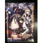 Aedeus Memories Shinten Makai Generation of Chaos V PSP Videogame Promo Poster