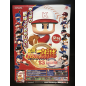 Power Pro Kun Pocket 9 DS both side Videogame Promo Poster