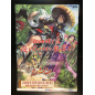 Fushigi no Dungeon: Furai no Shiren DS Videogame Promo Poster