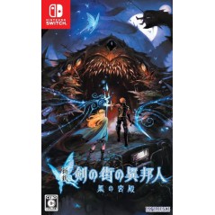 Stranger of Sword City Switch