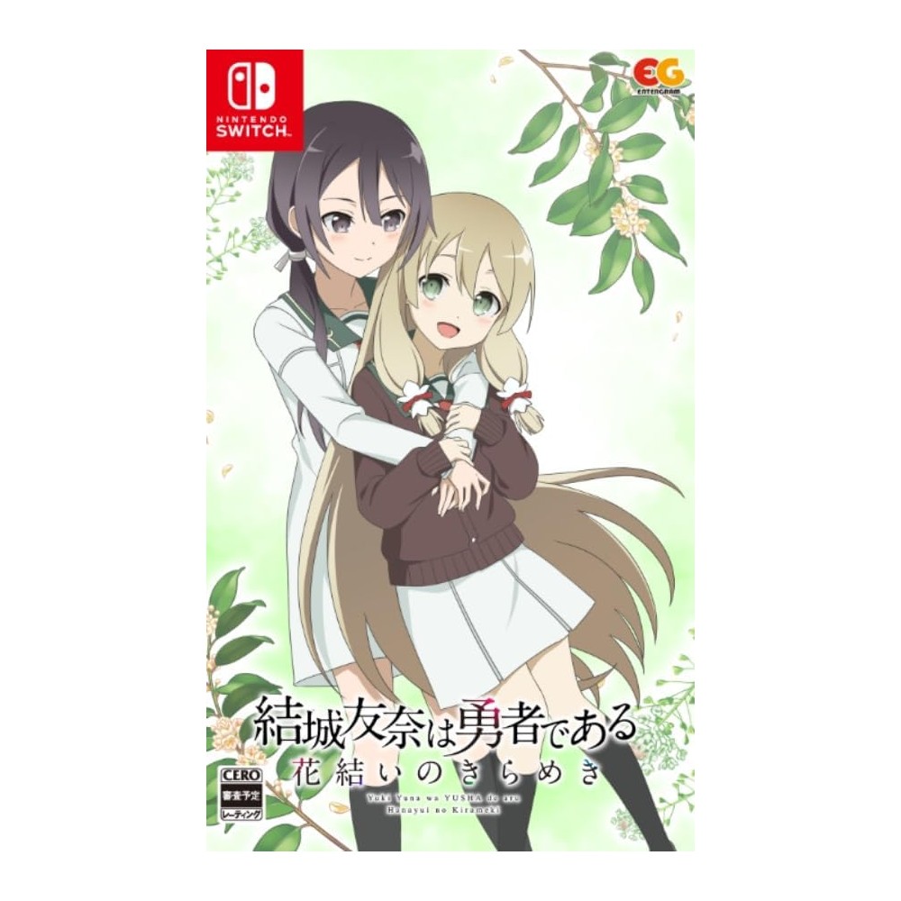 Yuki Yuna wa Yusha de aru - Hanayui no Kirameki Vol. 6 Switch