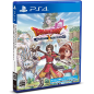 Dragon Quest X Online: The Door to the Future and the Sleeping Girl (Code in a Box) PS4