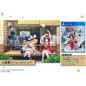 Touhou Spell Carnival [Special Pack] (Limited Edition) PS4 (pre-owned)