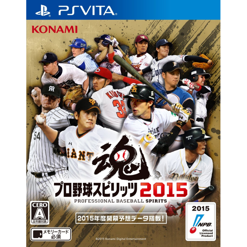 PRO YAKYUU SPIRITS 2015 (pre-owned) PSVita