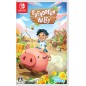 Everdream Valley (Multi-Language) Switch (pre-owned)