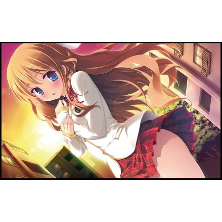 MELTYMOMENT [LIMITED EDITION]	(pre-owned) PSVita