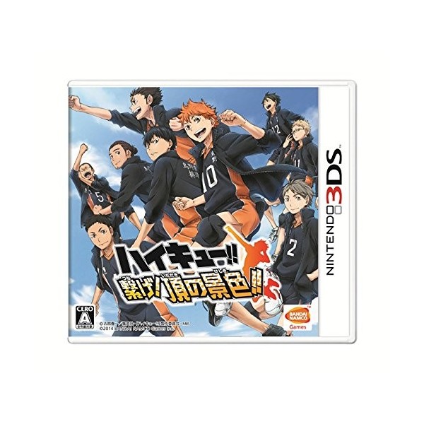 Haikyu!! Tsunage! Itadaki no Keshiki!!